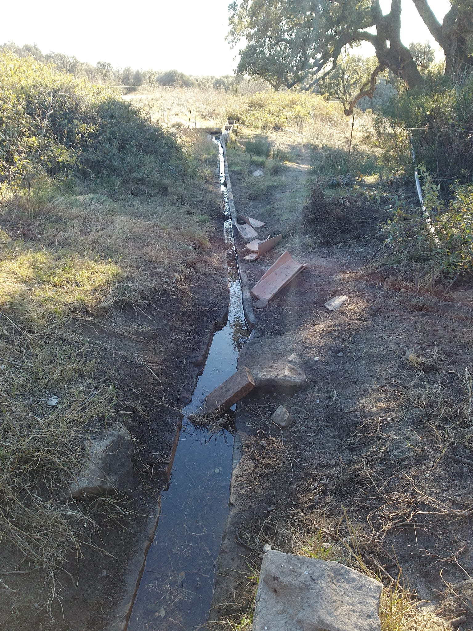 Font del Mas Oliva