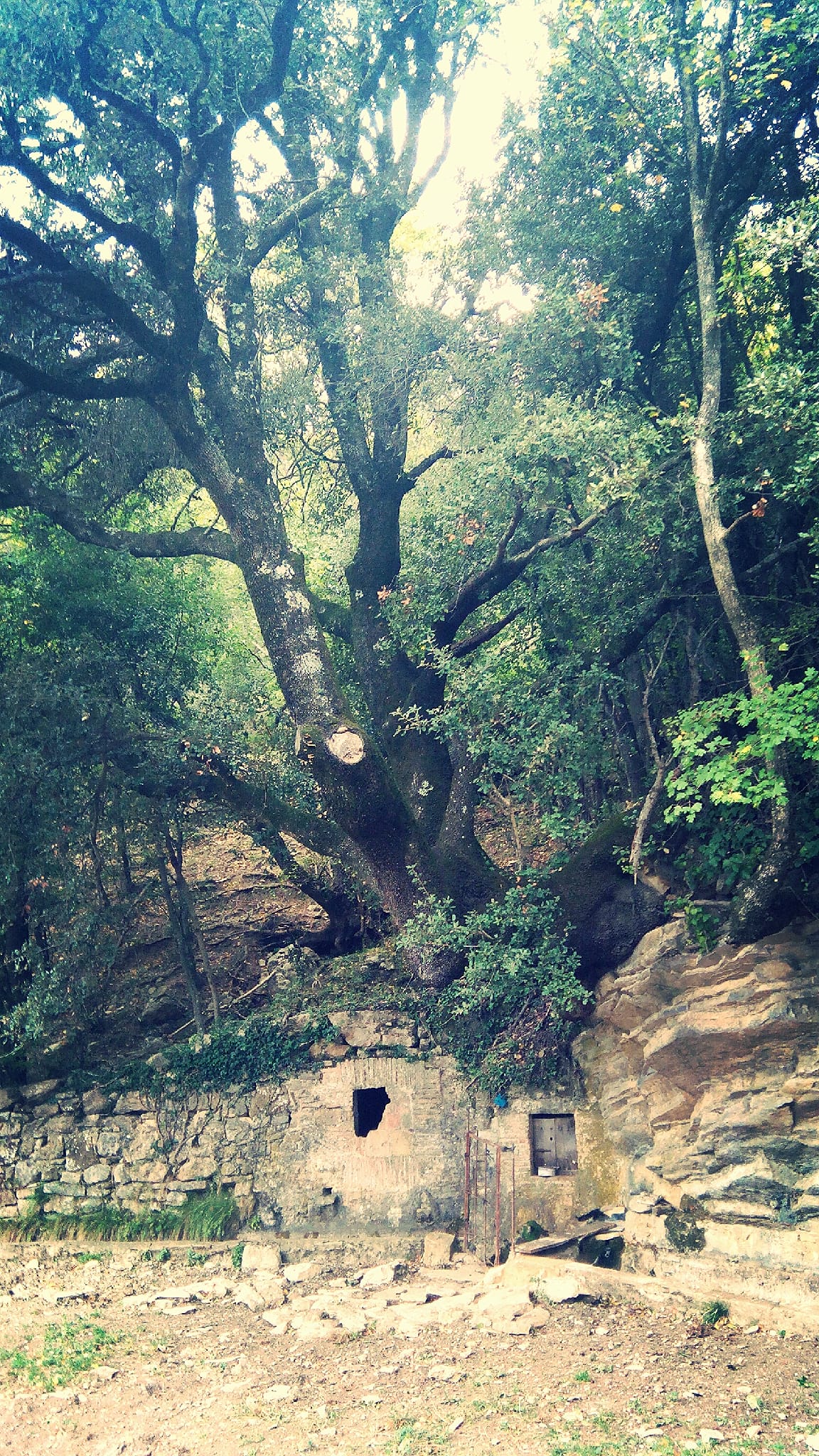 Font del Soler