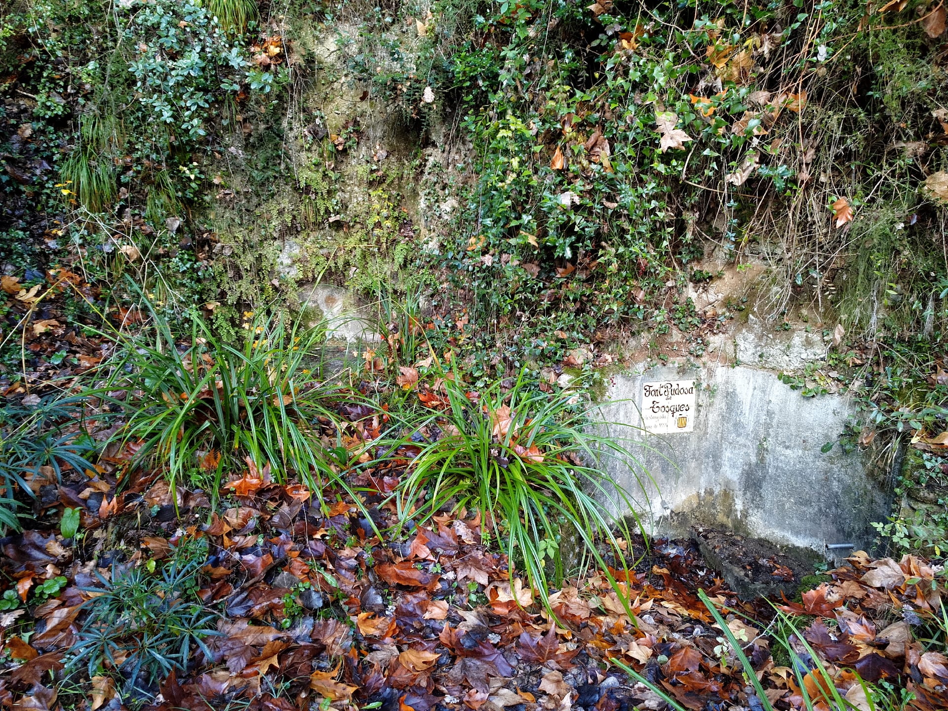 Font Pudosa de Tosquers
