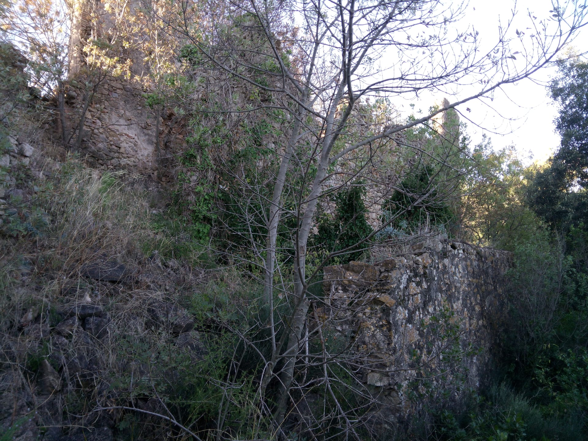 Castillo de la Vall