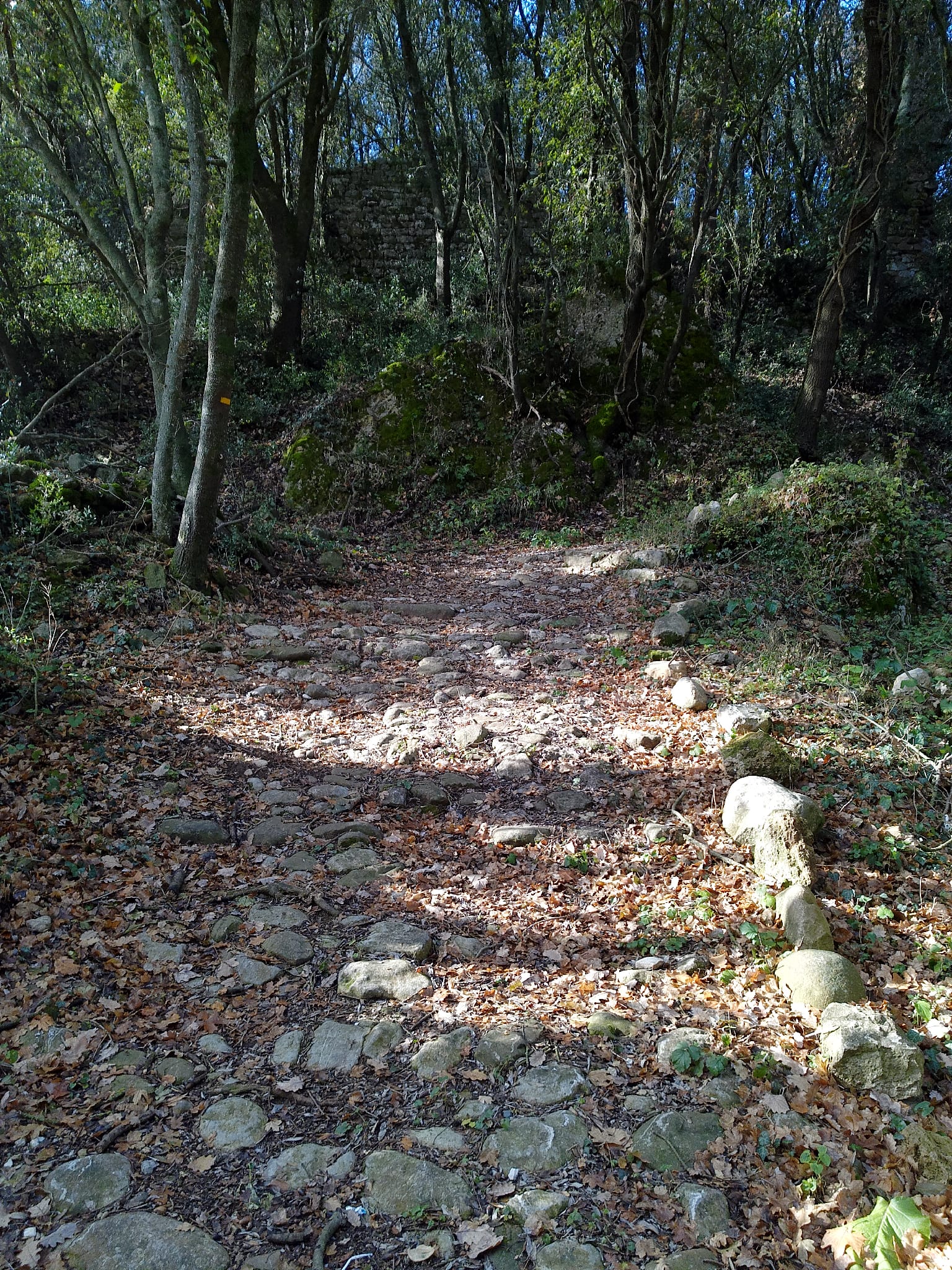 Castillo de Dosquers