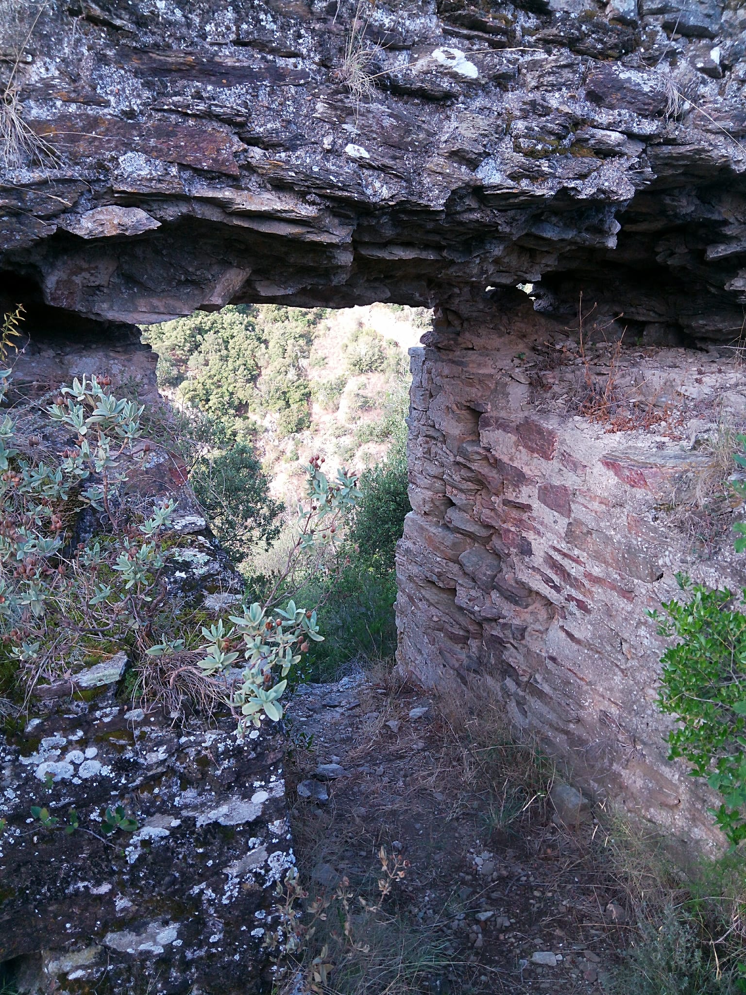 Fortificacions de les Cluses (Clausurae)
