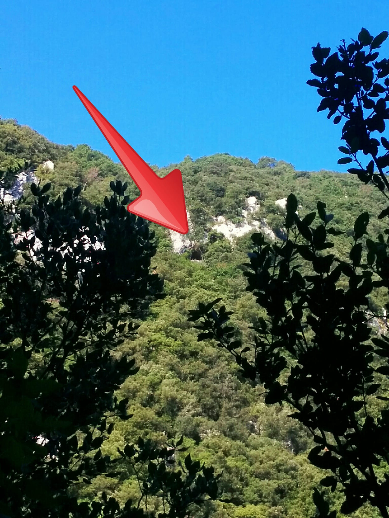 Abrigo d'en Noguer