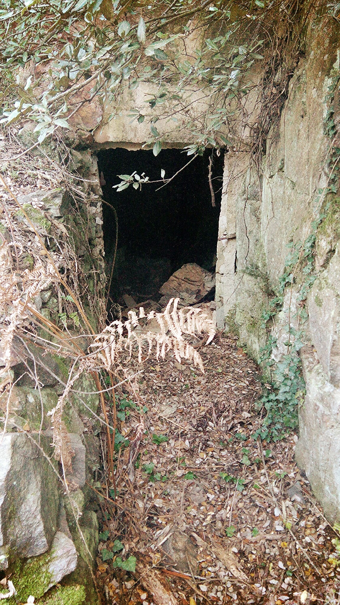 Mines de Sant Pere