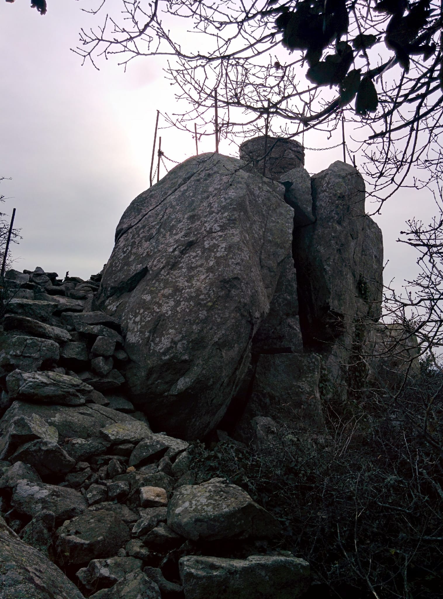 Puig dels Pruners