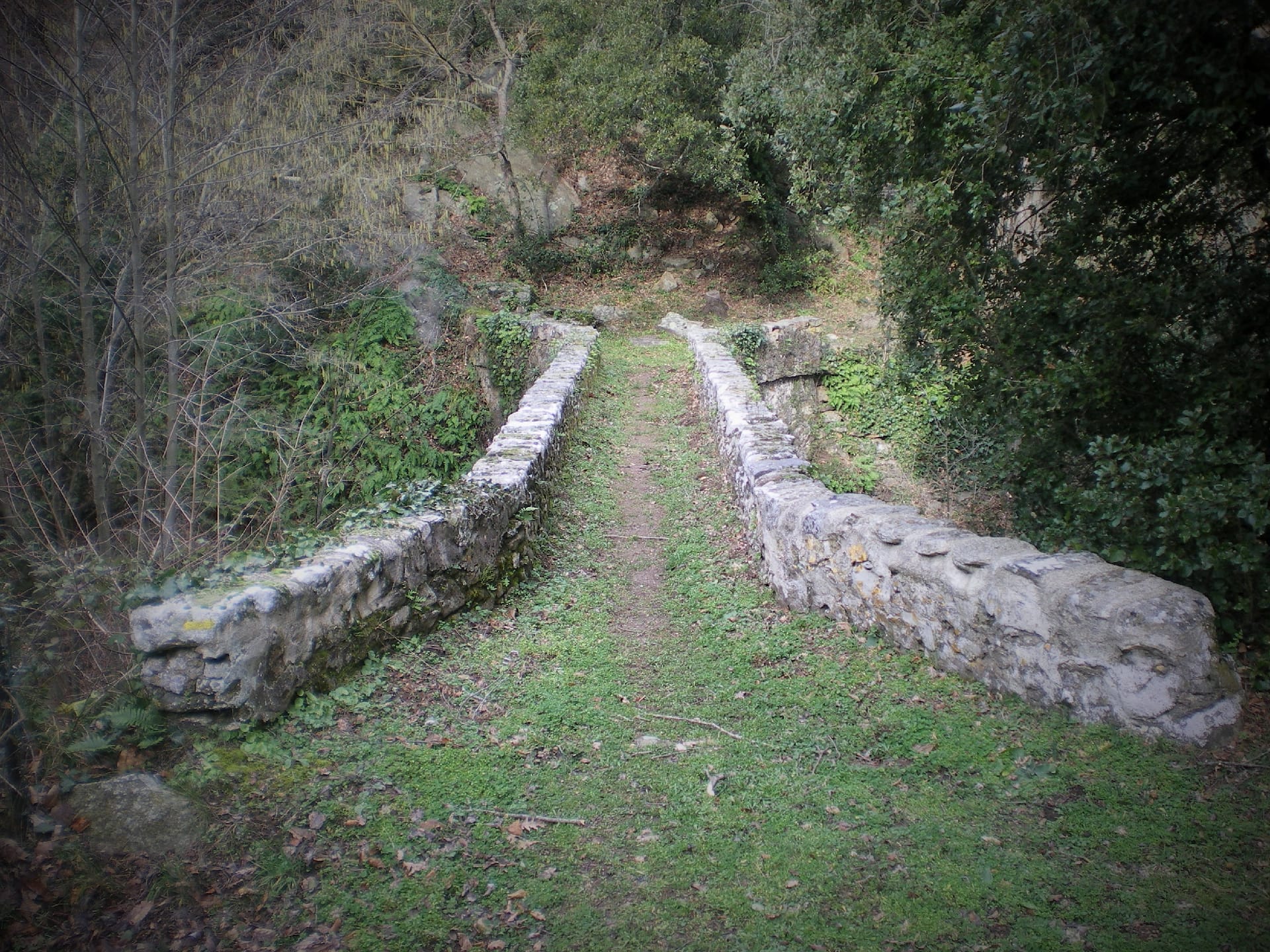 Pont de les Illes