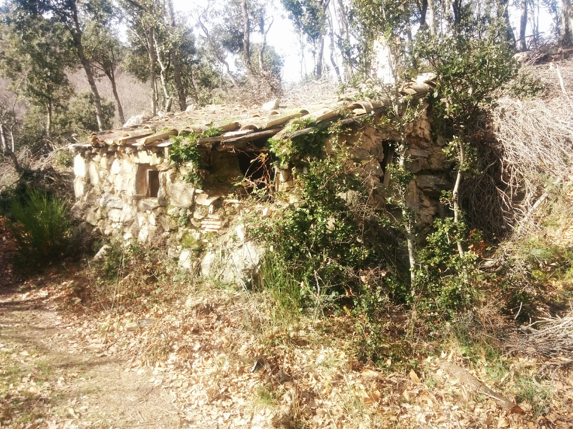Refugi dels Guàrdies
