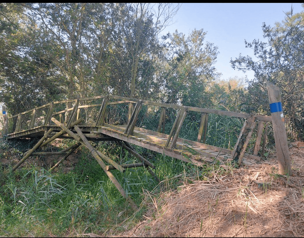 Pont Da Vinci