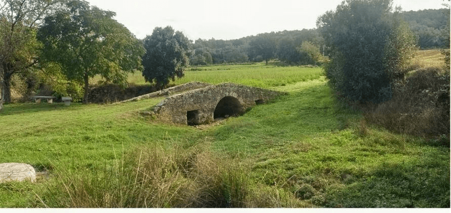 Pont de Martís