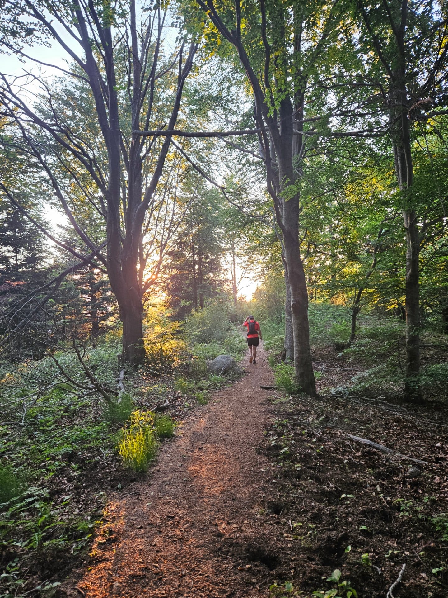 Trail running al Matagalls