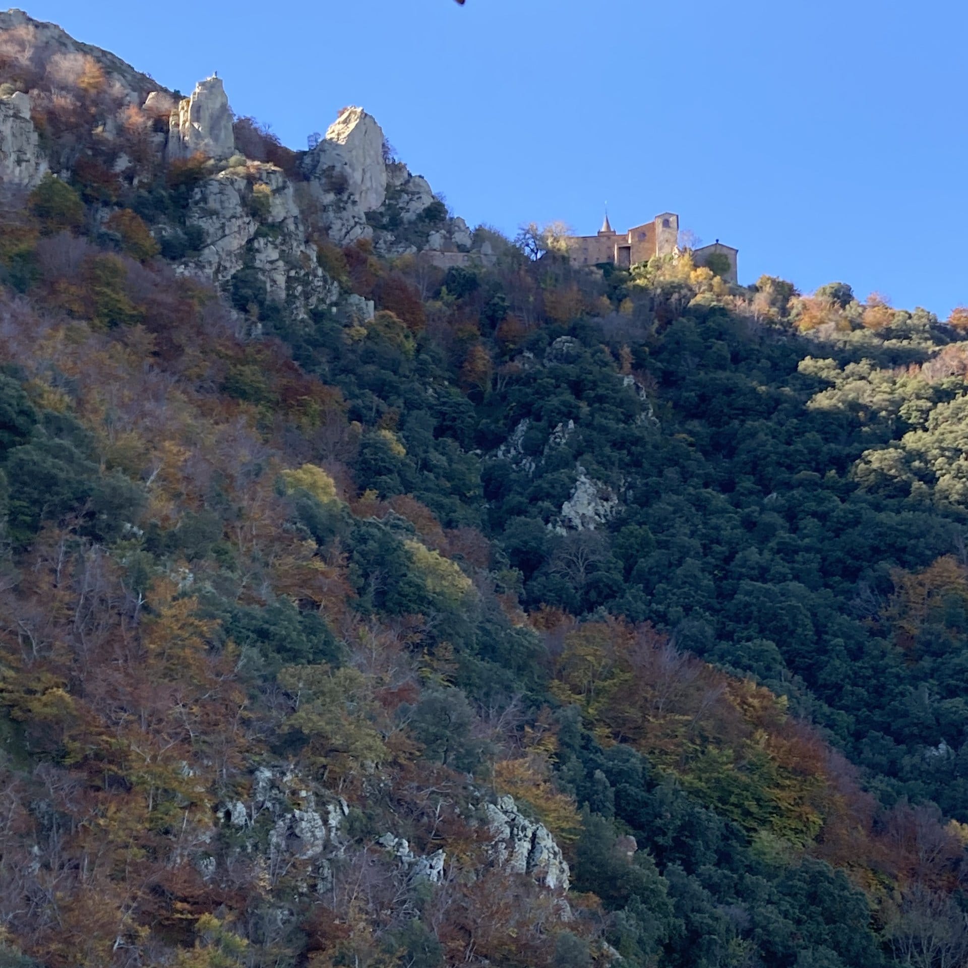 Sant Segimon, castanyada i Ball de Bruixes de Viladrau