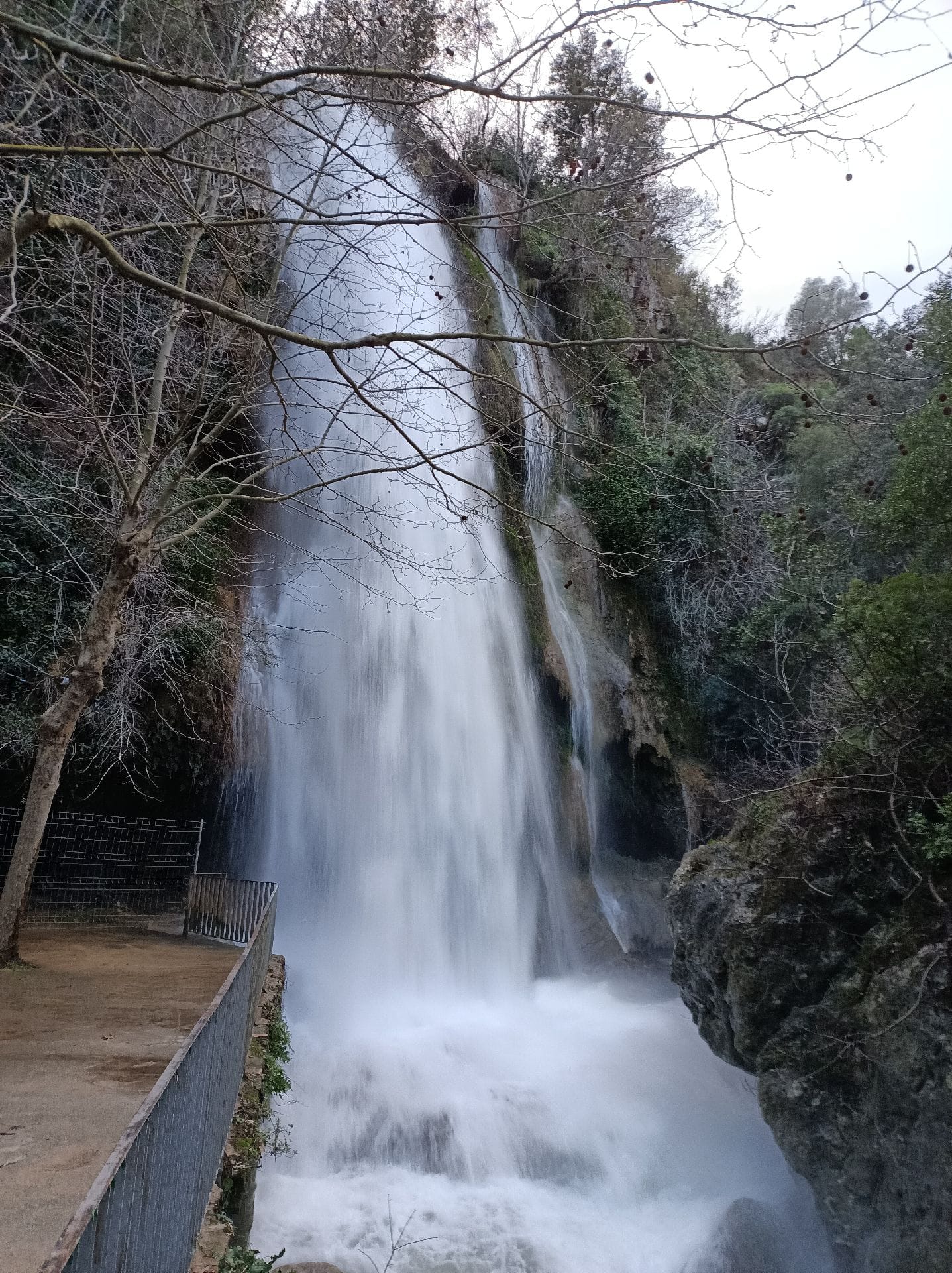 salt de la caula