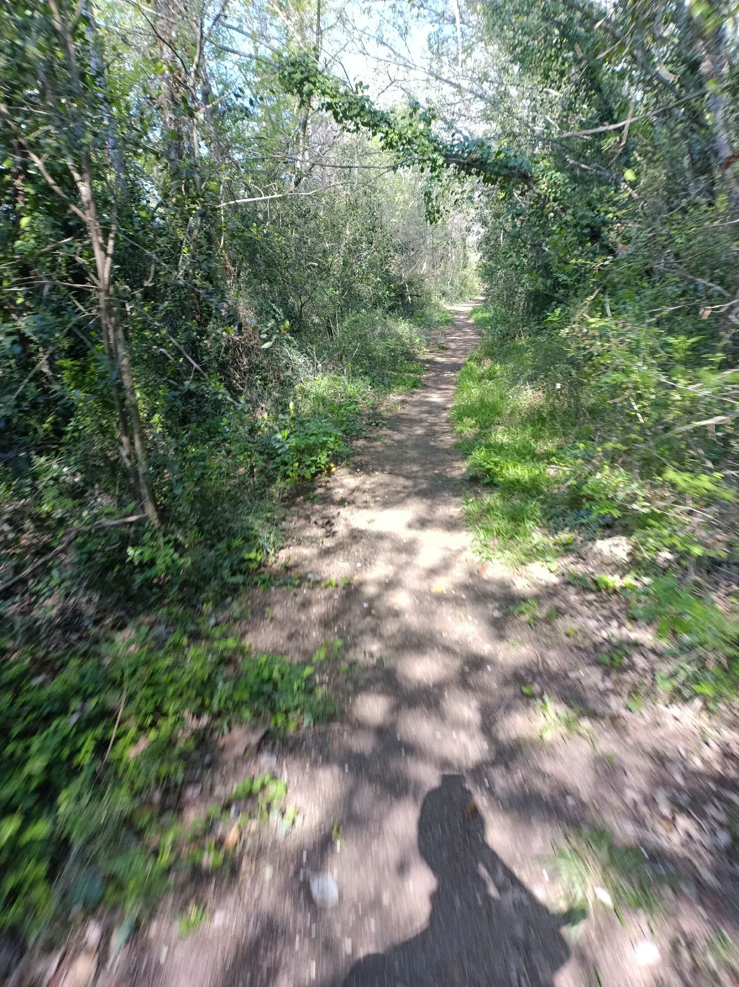 gravel test