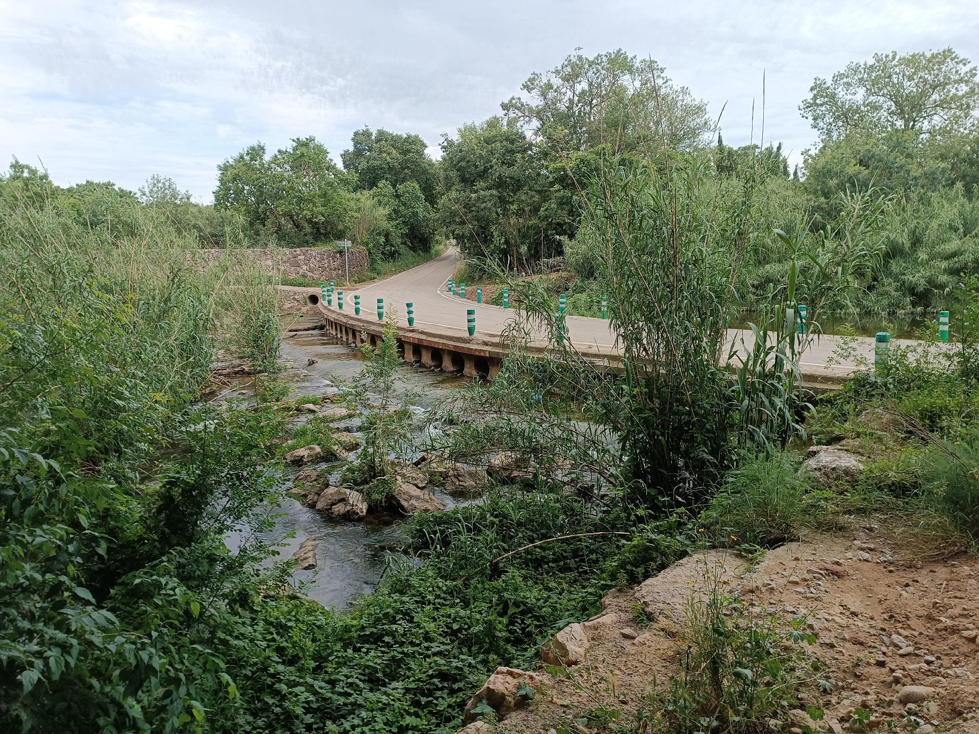 Caminata per el Manol a Vilafant.