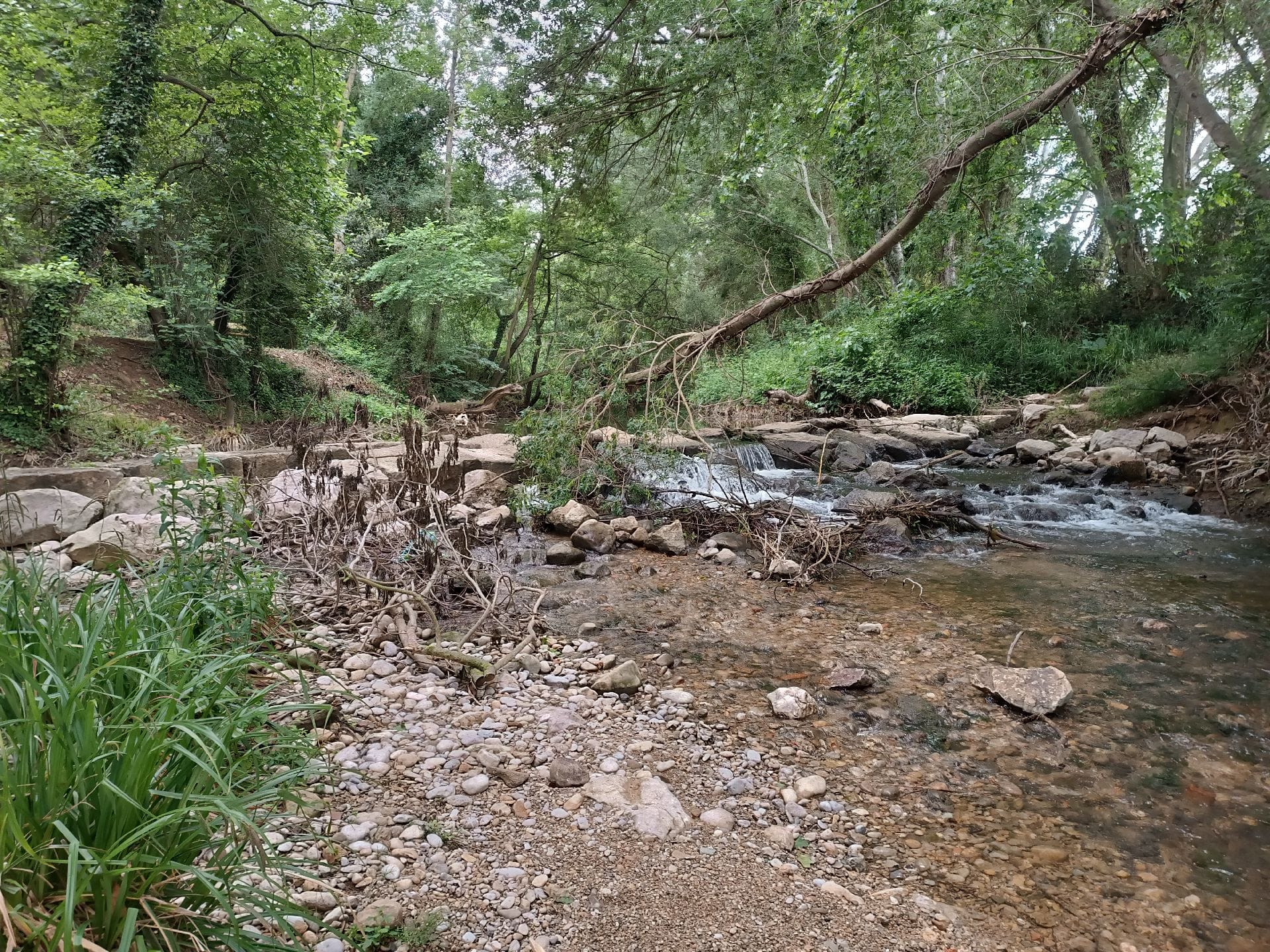 Caminata per el Manol a Vilafant.