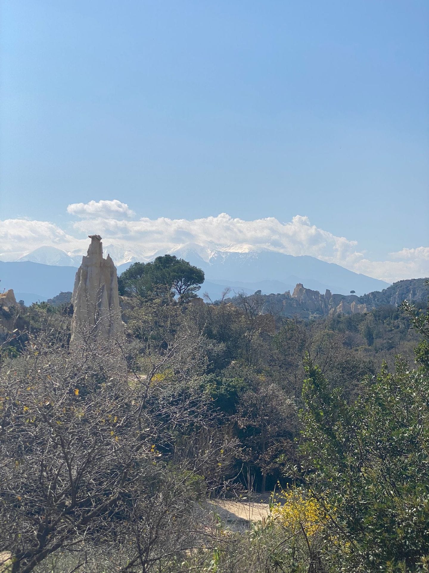 Les Orgues d'île sûr Têt