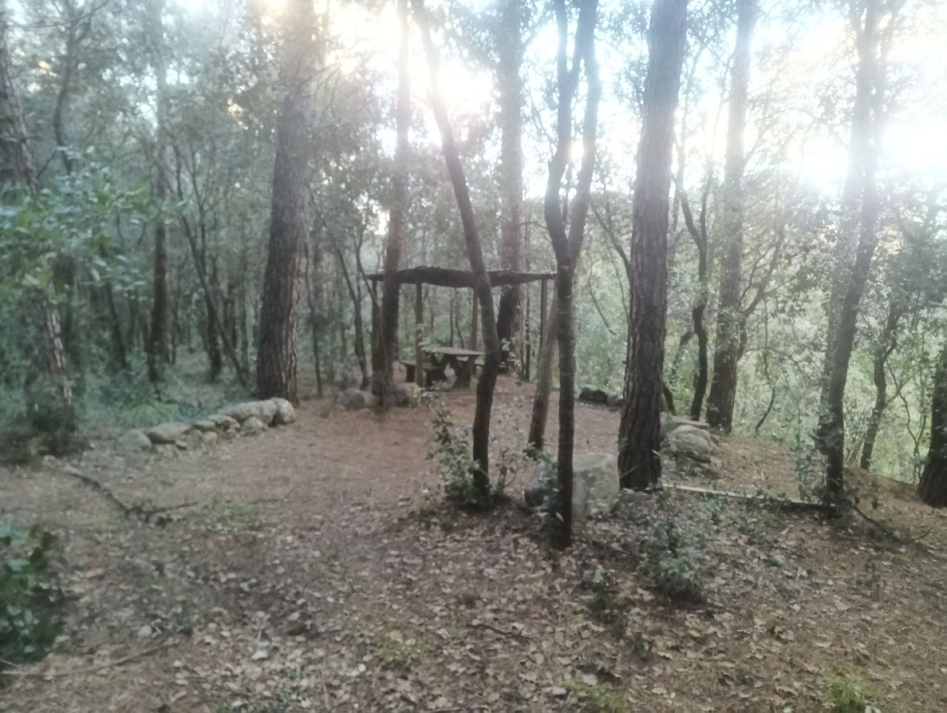 casa árbol rio