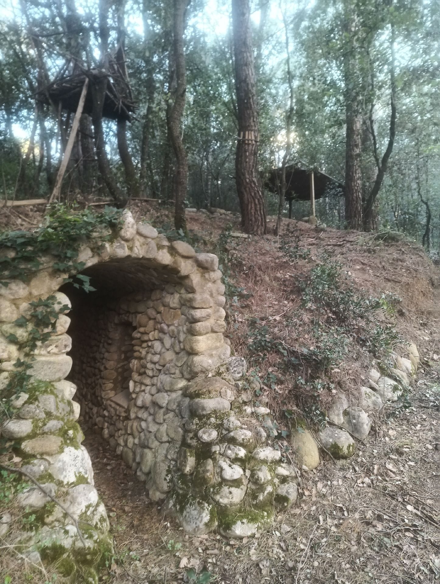 casa árbol rio