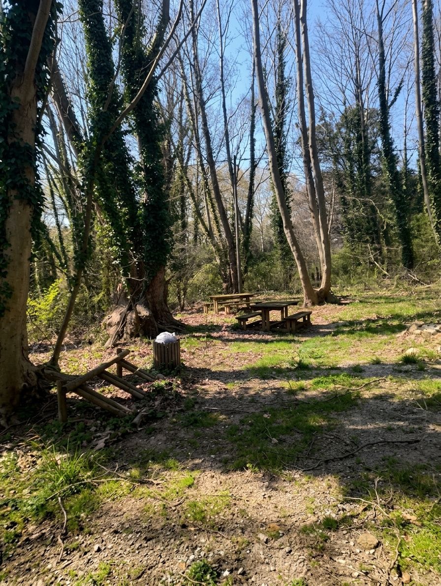 Zona Picnic de Can Perxers