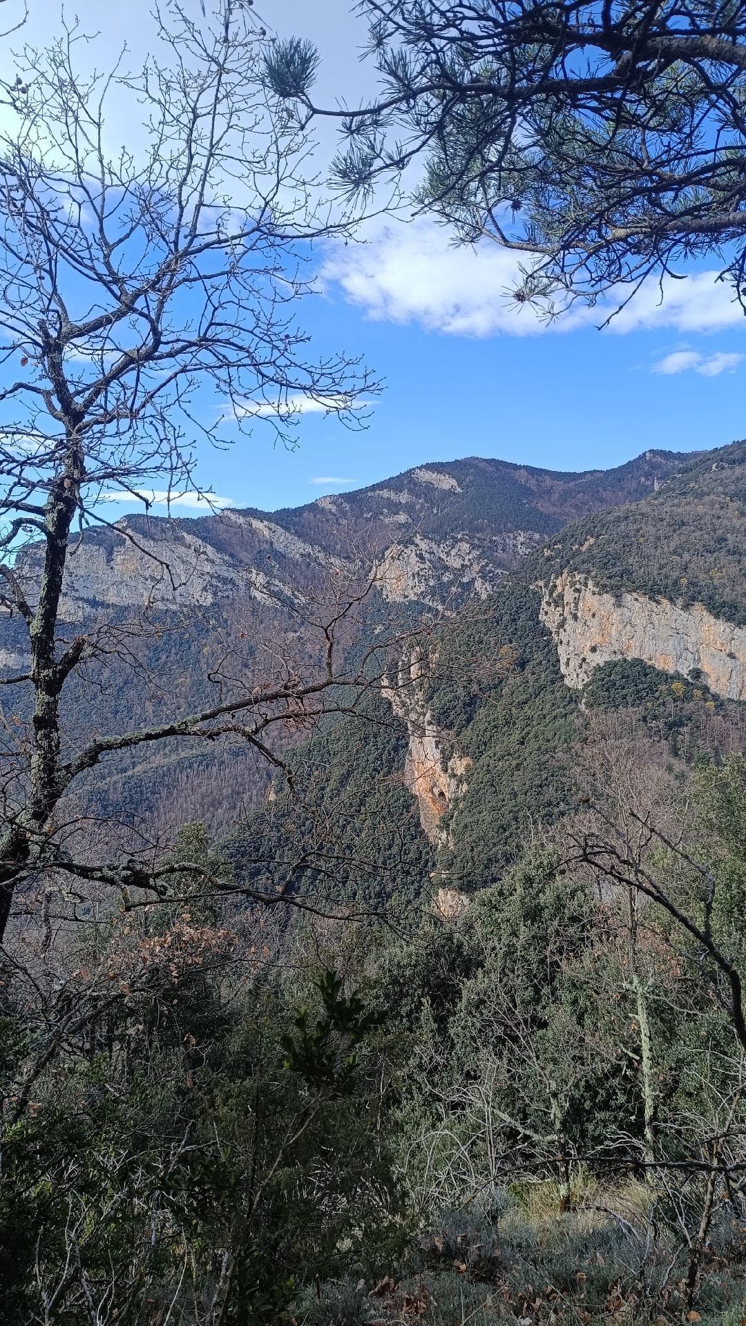 Lladó-Lliurona-Bassagoda-Sant Julià de Ribelles-Hostal de la Muga-Albanya