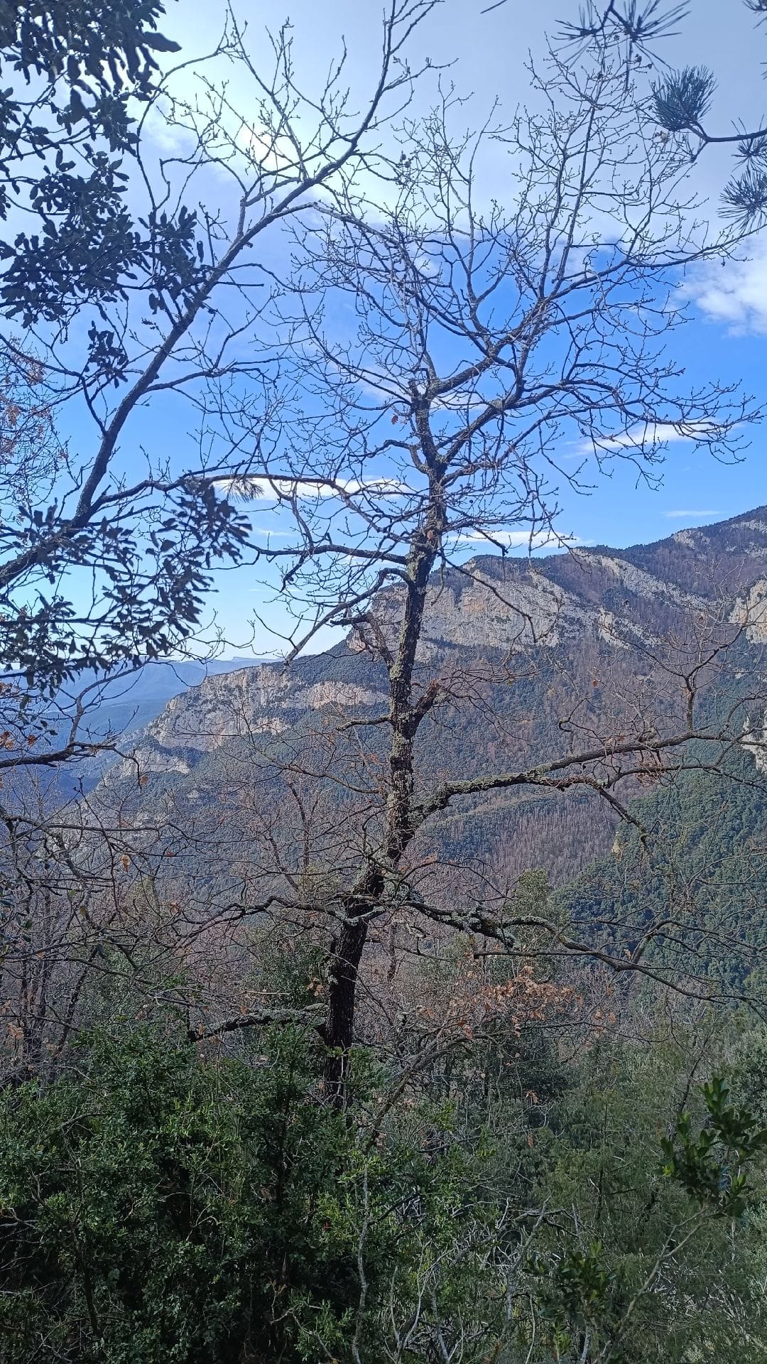 Lladó-Lliurona-Bassagoda-Sant Julià de Ribelles-Hostal de la Muga-Albanya