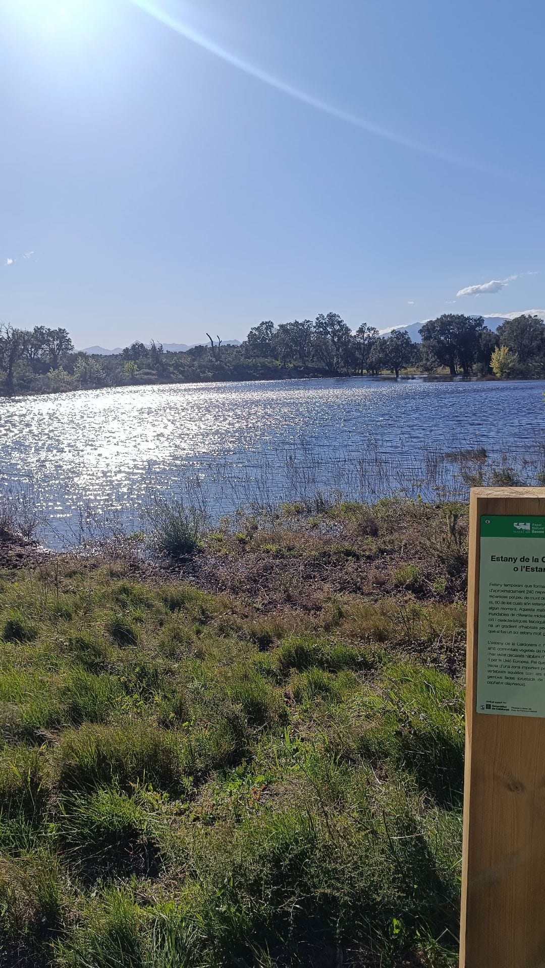 Estany de la Cardonera