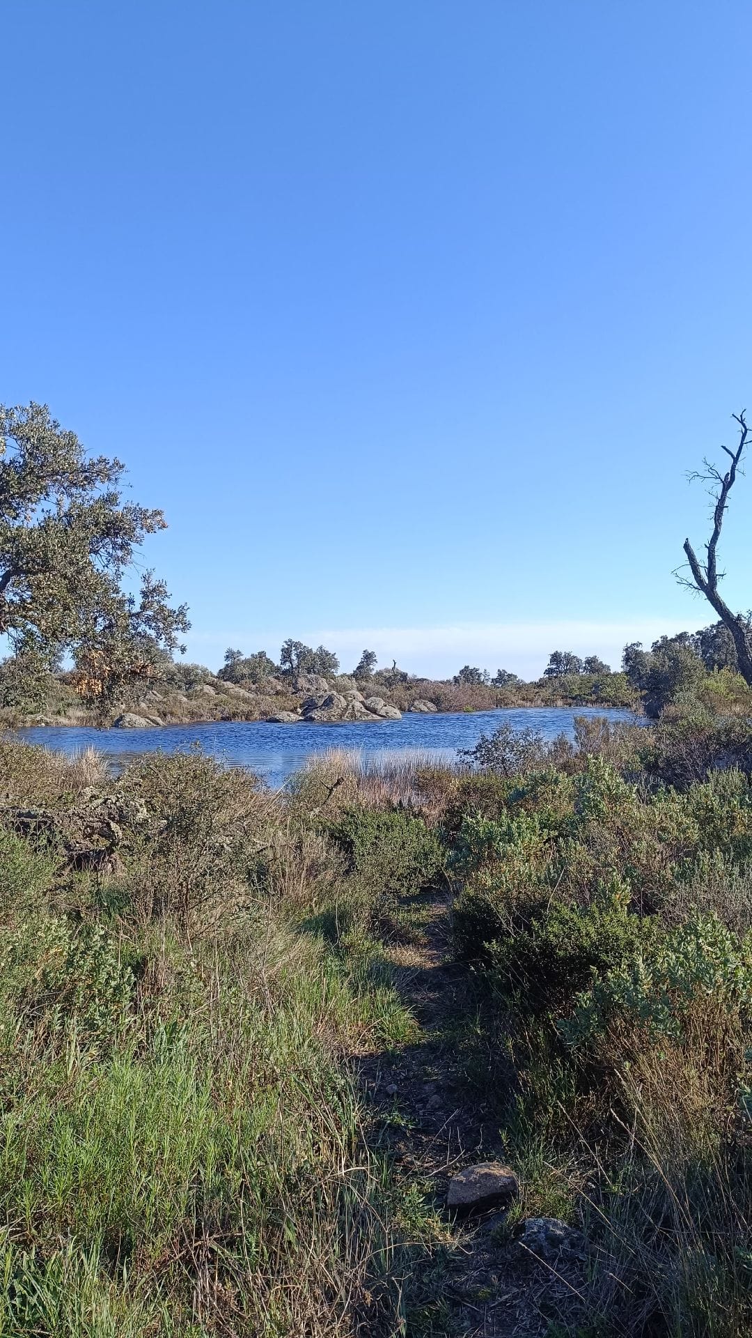 Estany de la Rajoleria