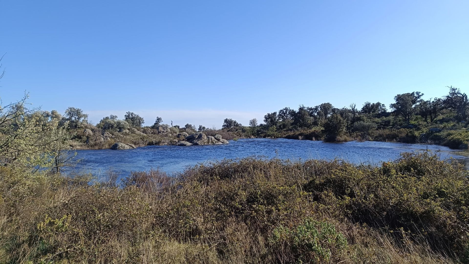 Estany de la Rajoleria