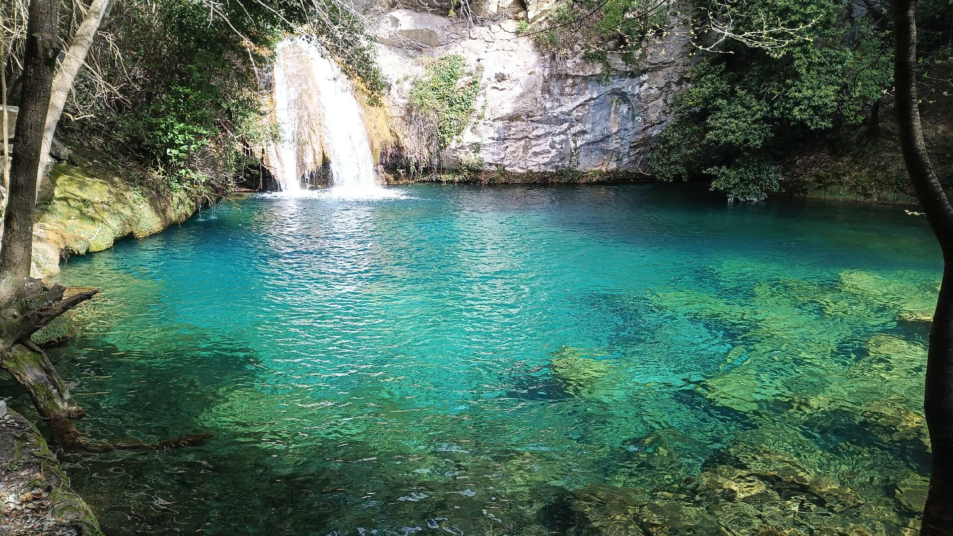Gorg Blau