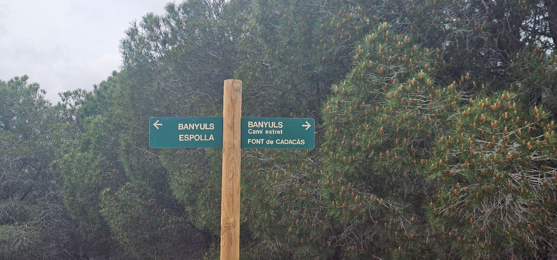mirador del ras