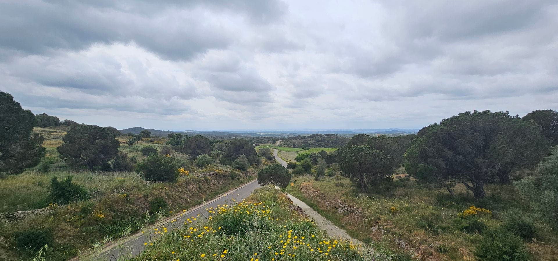 mirador del ras