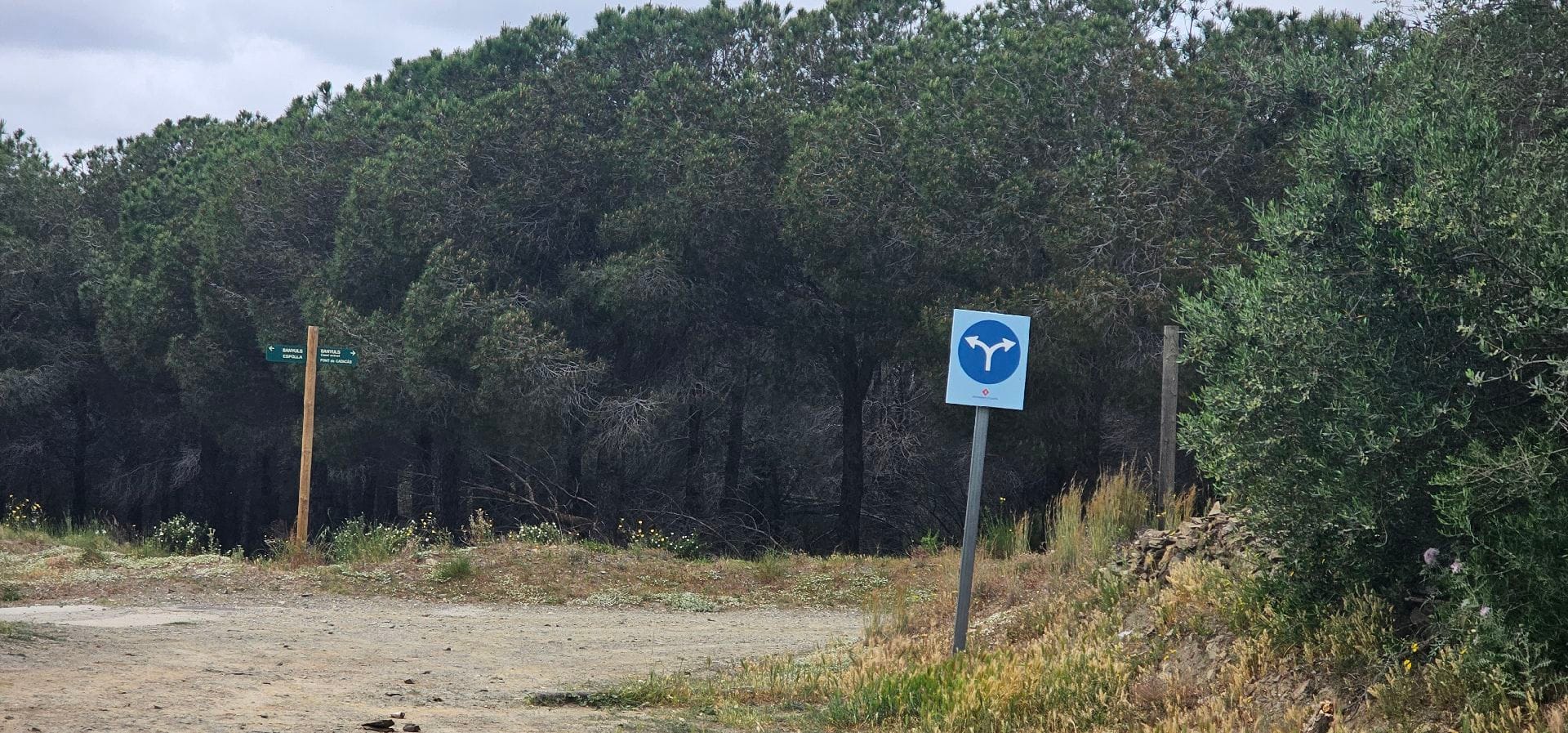 mirador del ras