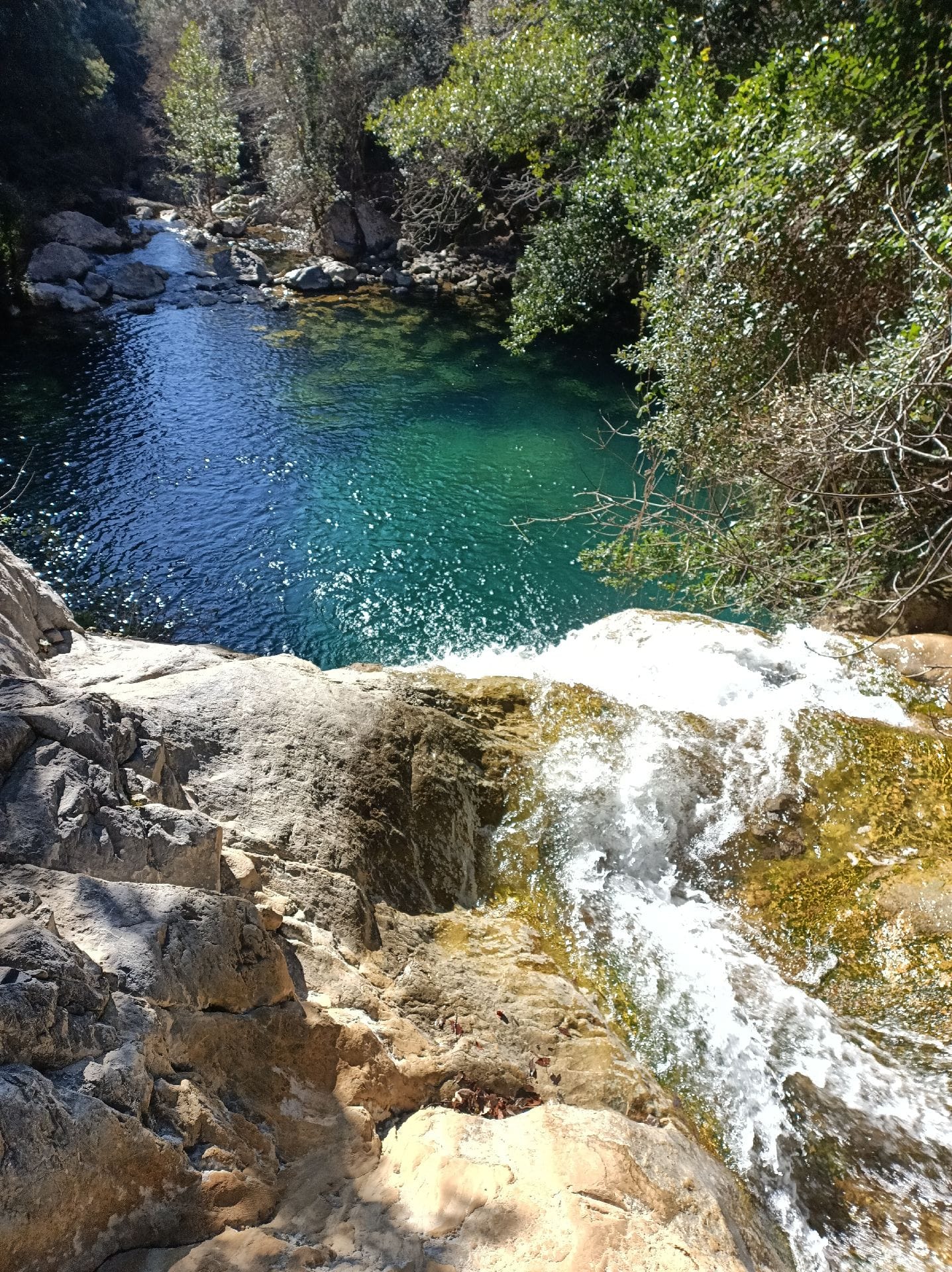 El Gorg blau
