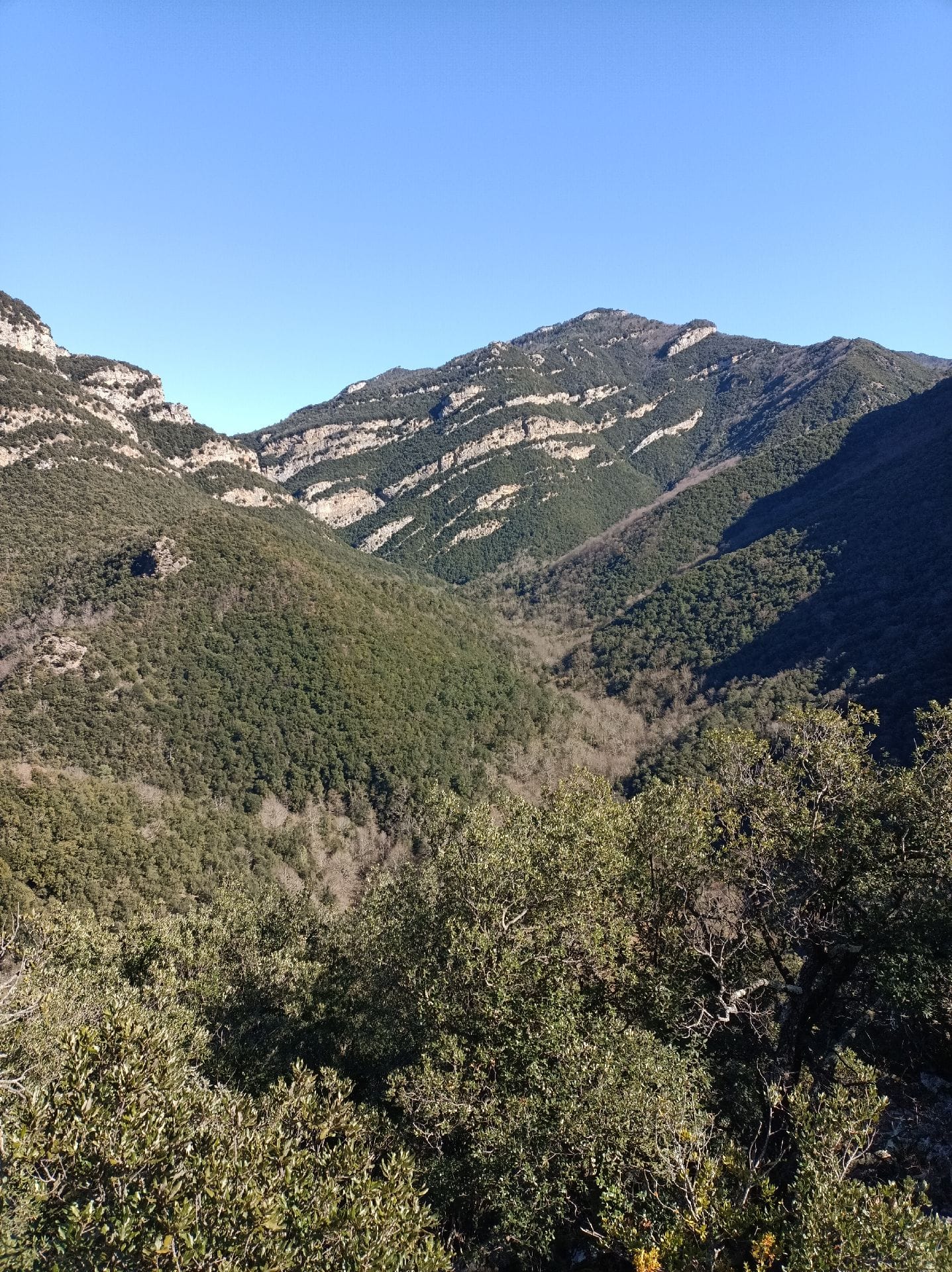 forat de la lleixa closa