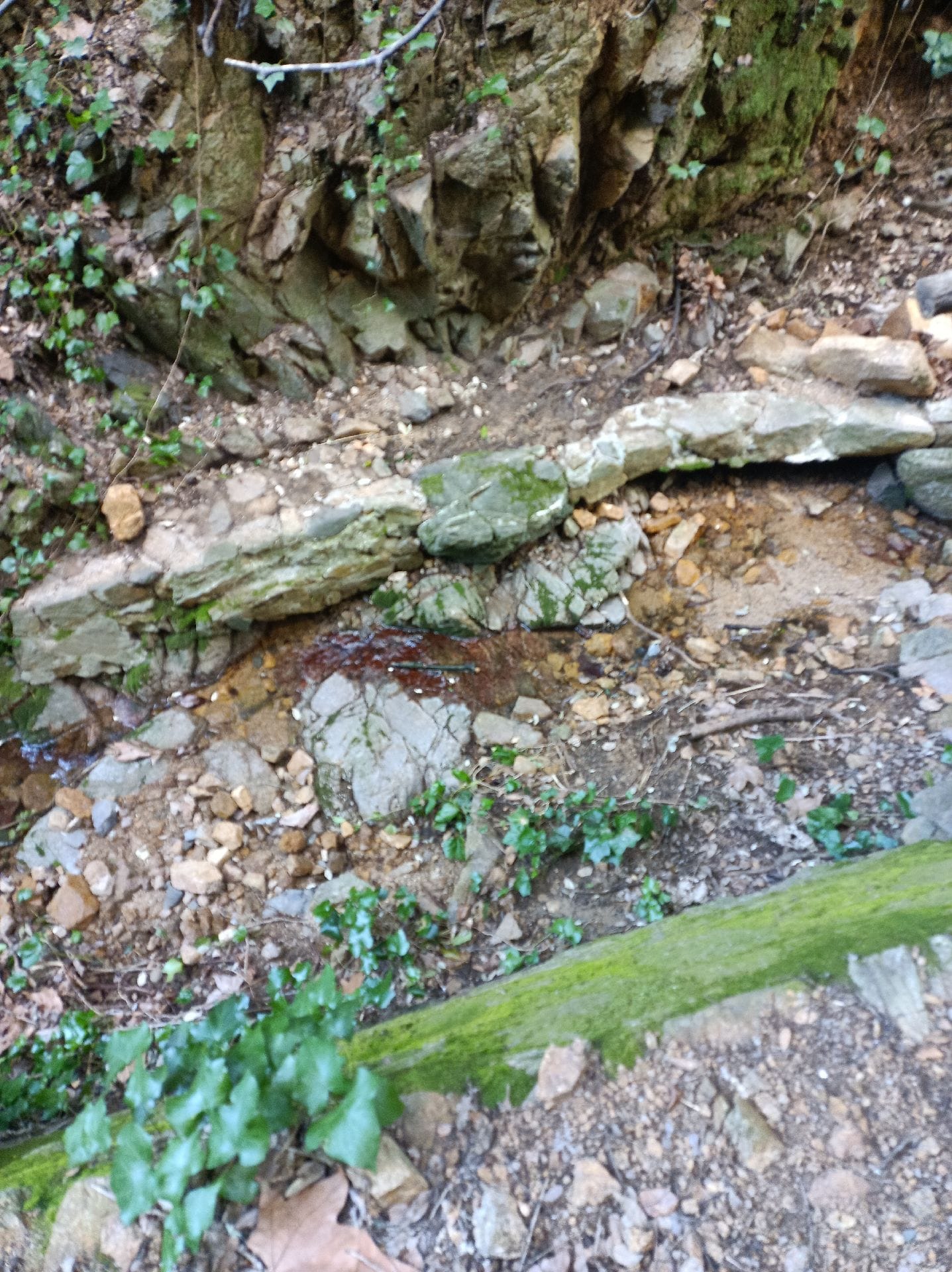 Font de Panedes