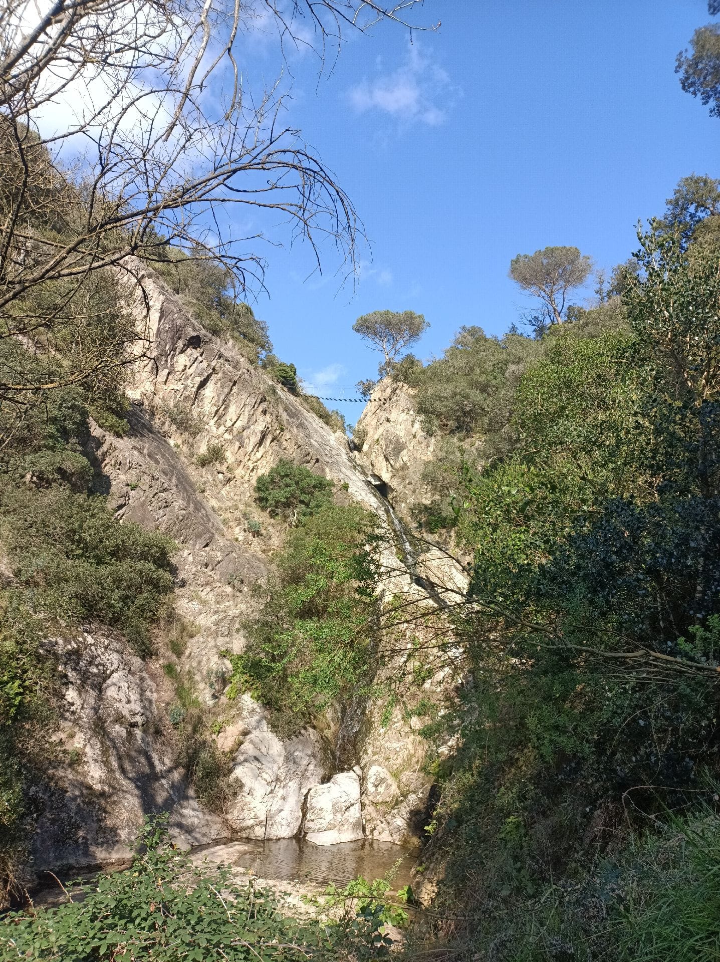 salt del llop