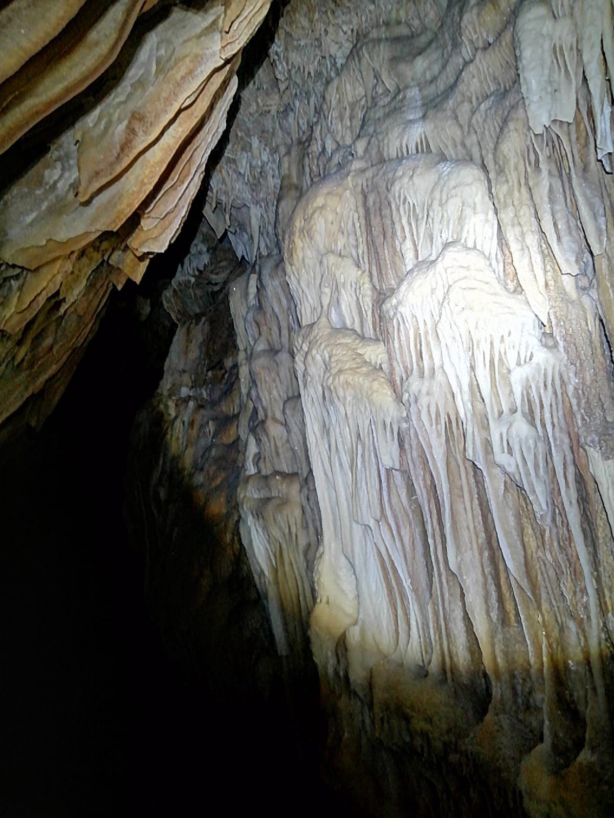 cova de l'orri
