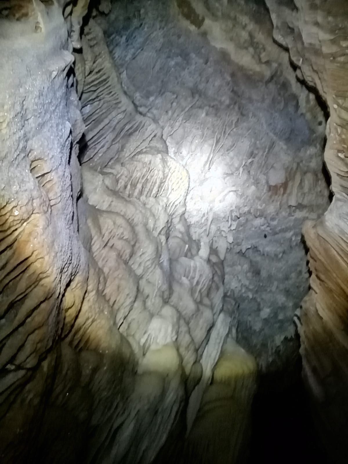 cova de l'orri