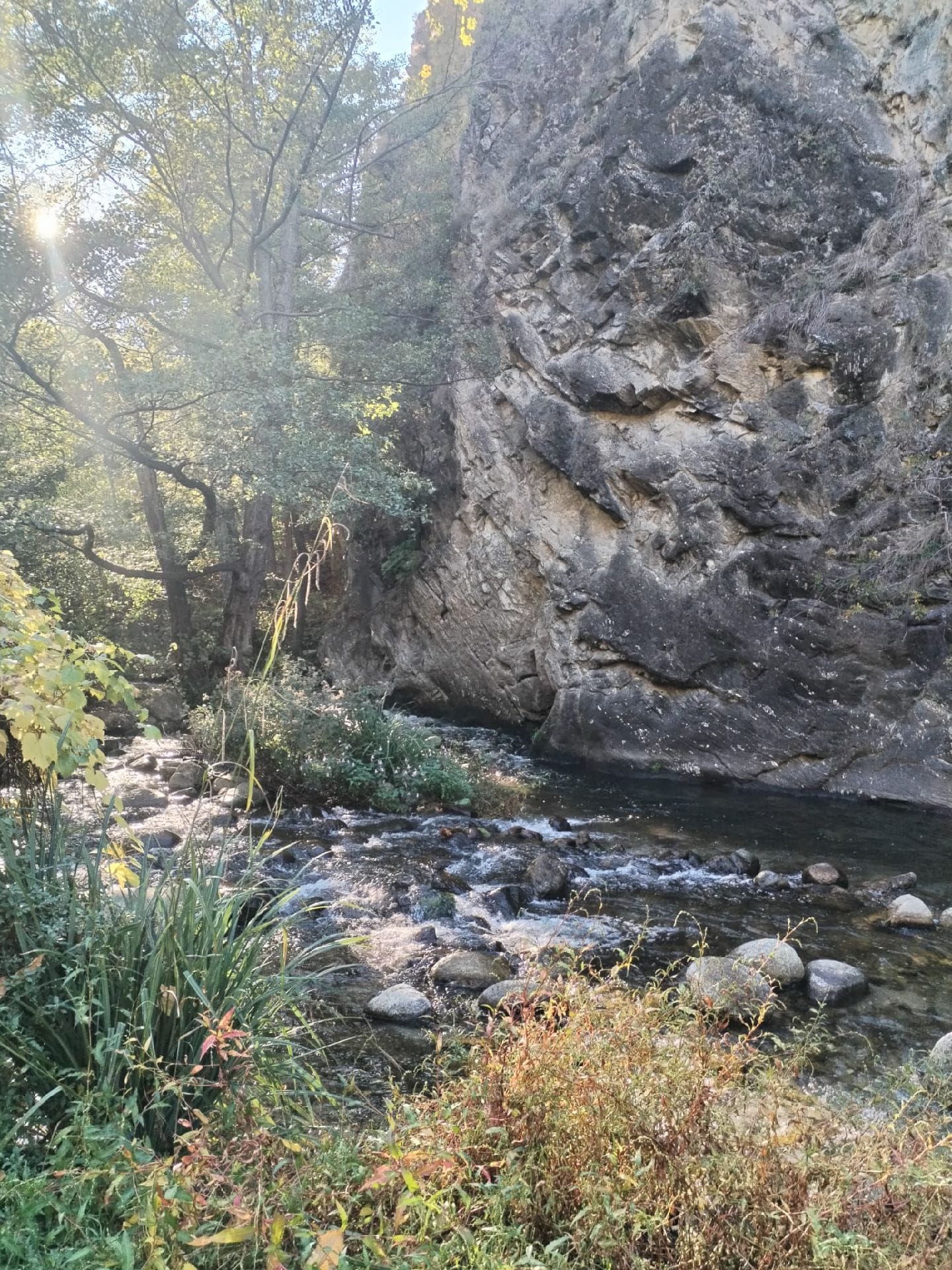 aigües termals