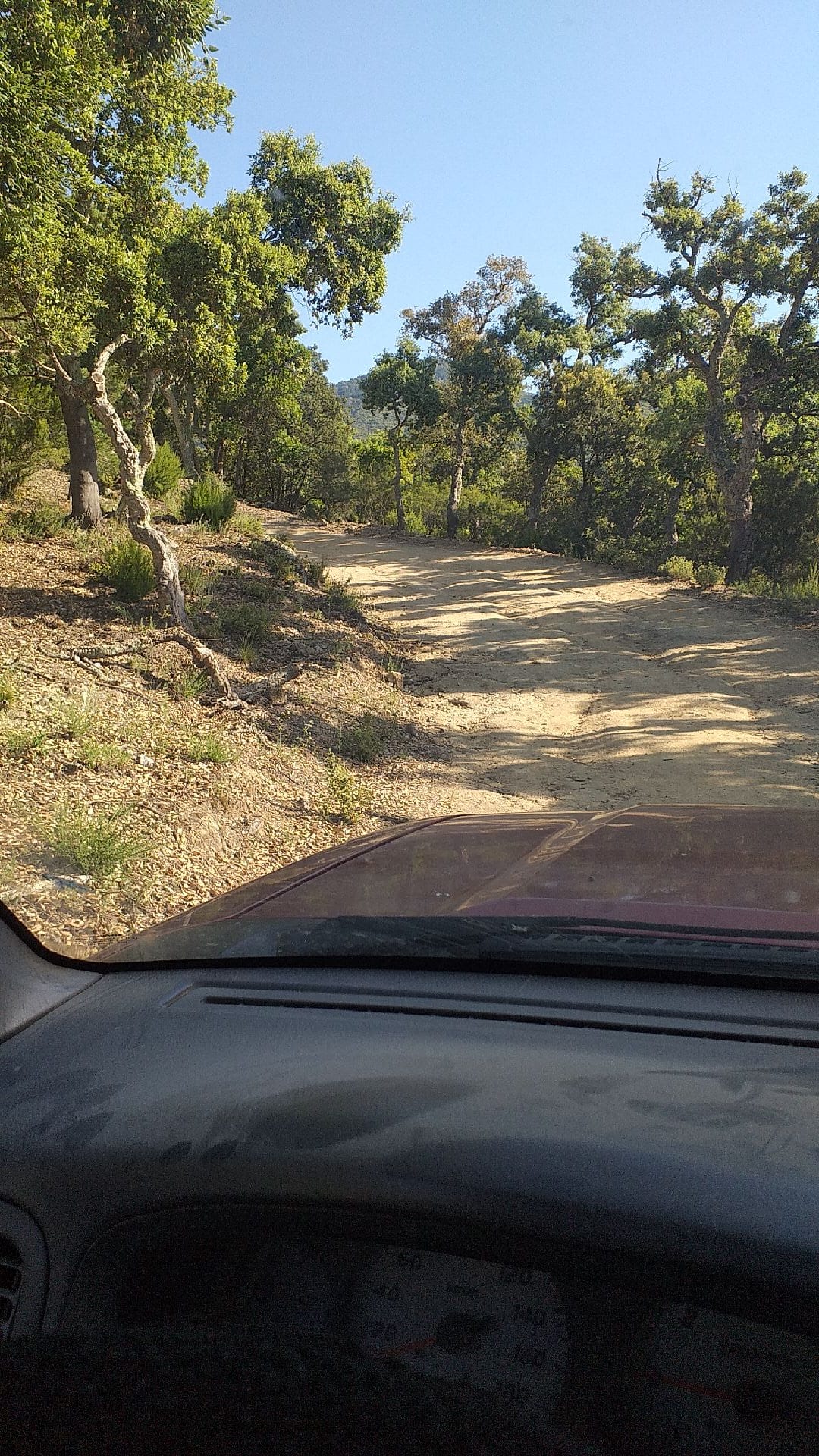 Coll de la Dona Morta
