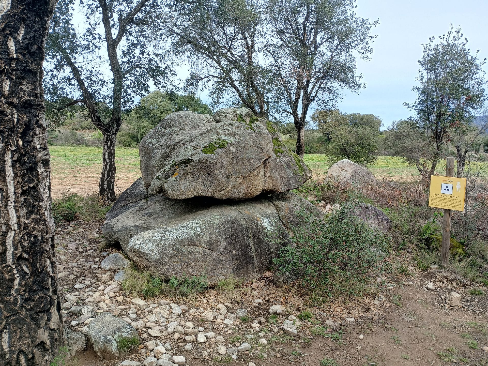 Pedra del sacrifici