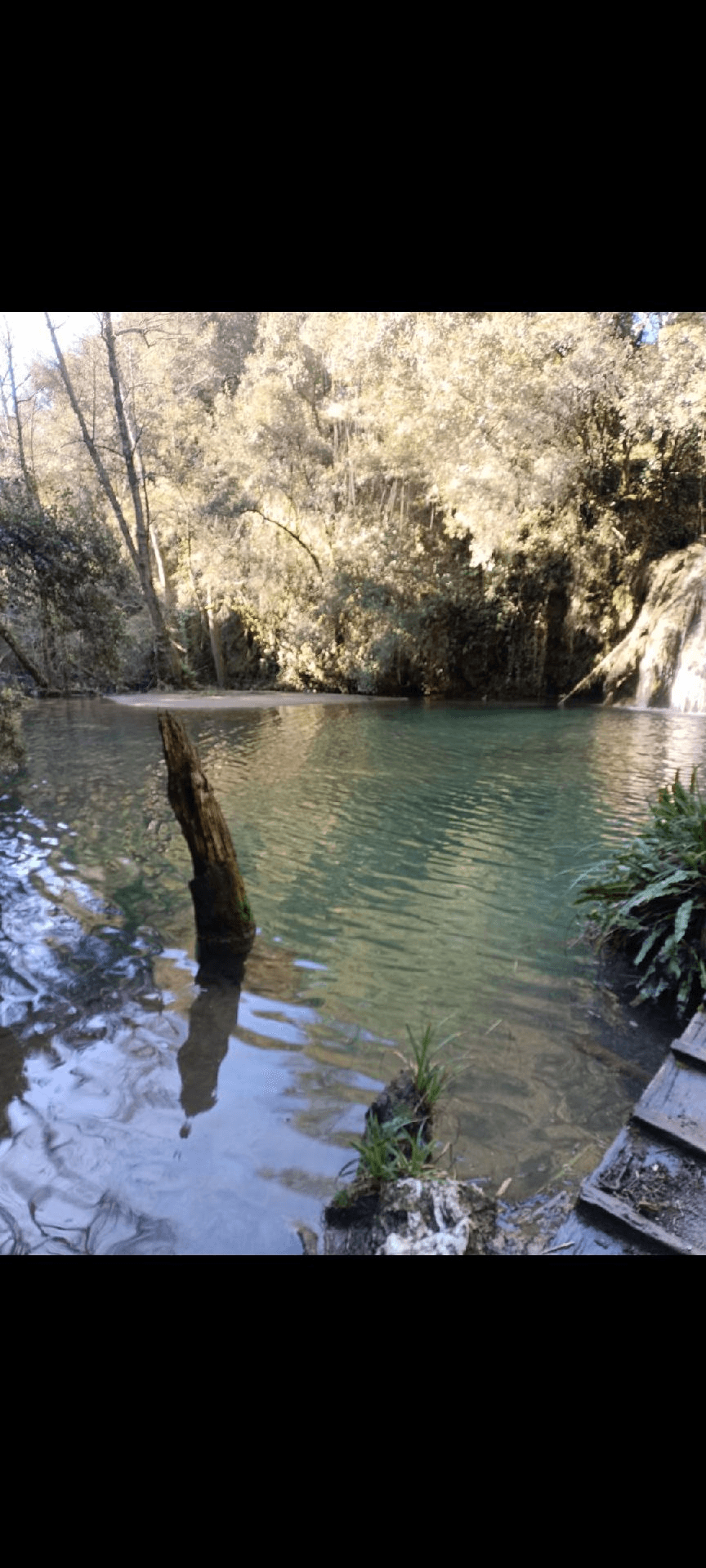 gorga del molí dels murris