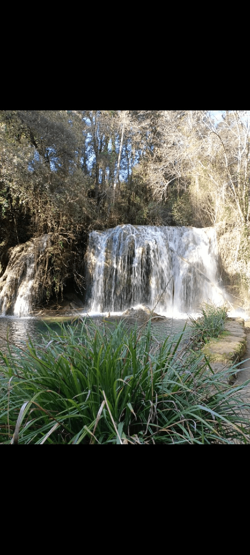 gorga del molí dels murris