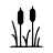 Pantano