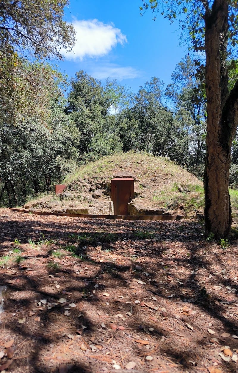 La Ruta del Pou de glaç de Palol de Revardit