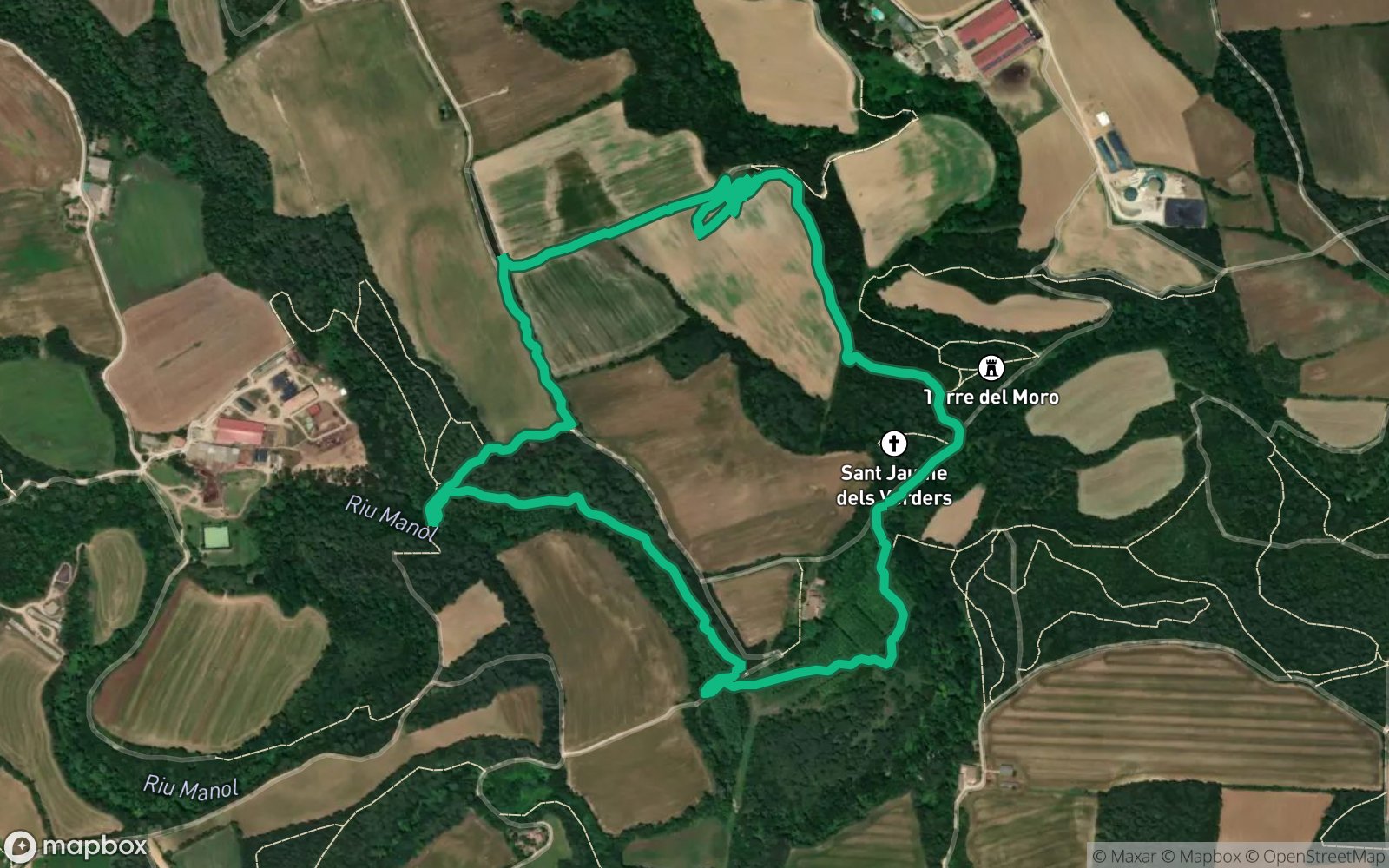 Ruta mongola
